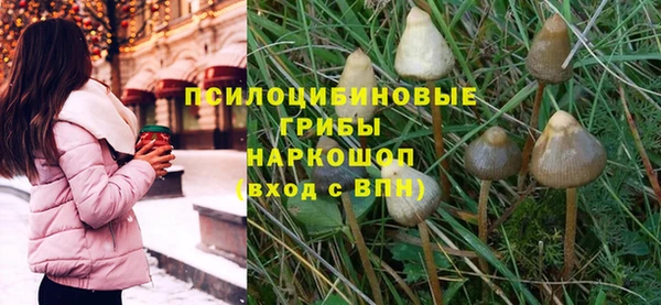 мдпв Абинск