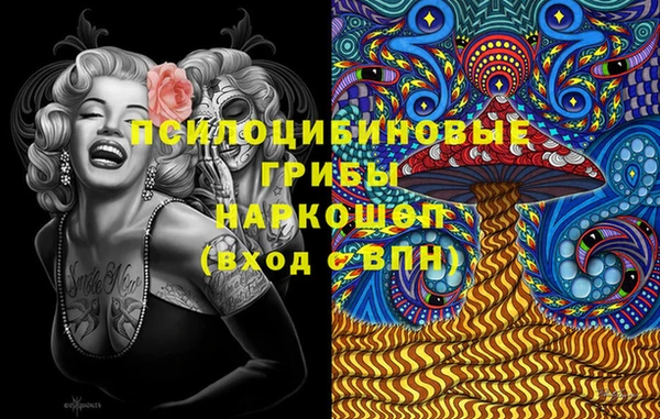 мет Пересвет